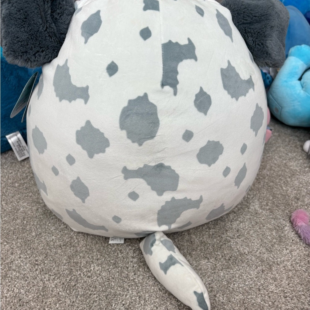 Squishmallows Raylor the Australian Shepherd large NWT - Picture 7 of 8